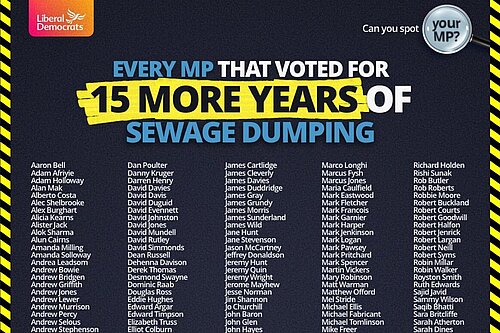 How MP's voted